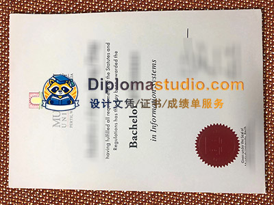 Buy Bachelor of Science in Information Systems Degree