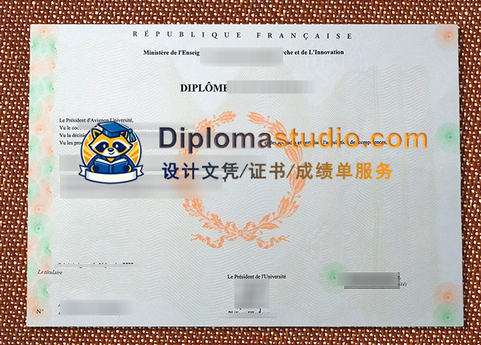阿维尼翁大学文凭, Avignon Université Diploma