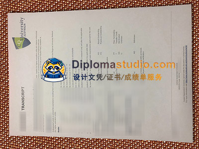 Central Queensland University Transcript