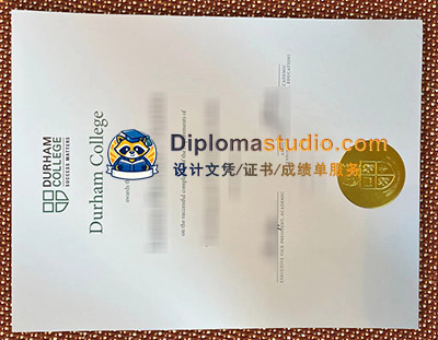 Durham College Diploma
