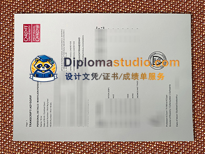 Cardiff University Transcript