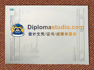 Wrexham University Transcript