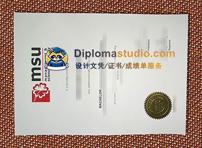 Management & Science University Diploma