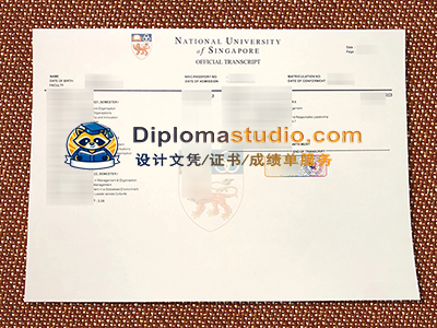 National University of Singapore Transcript