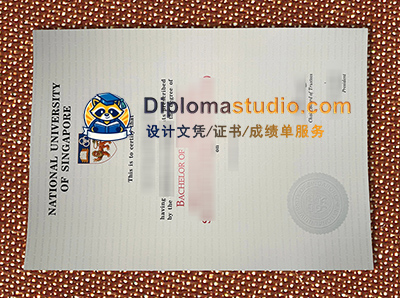 National University of Singapore Diploma