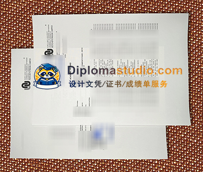 North-West University Transcript