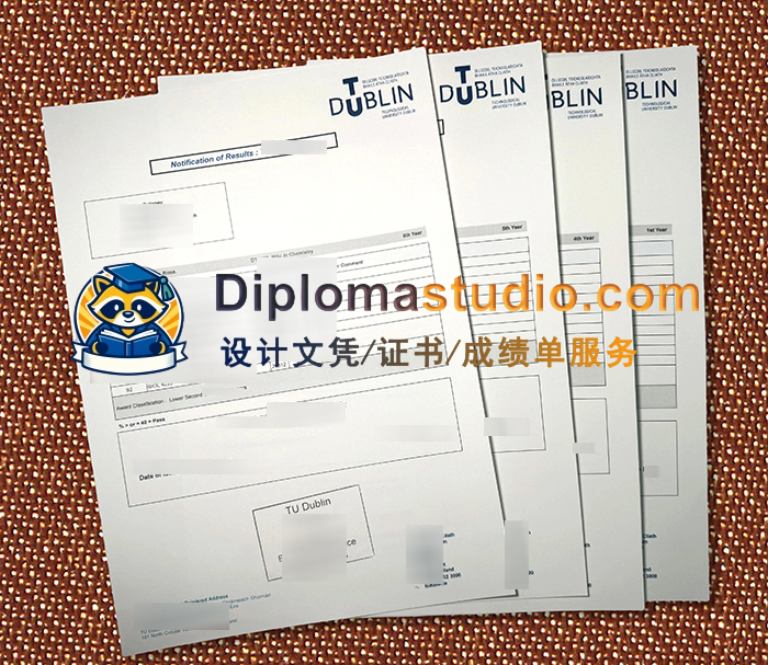 都柏林理工大学成绩单, Technological University Dublin Transcript