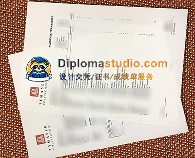 Temasek Polytechnic Transcript