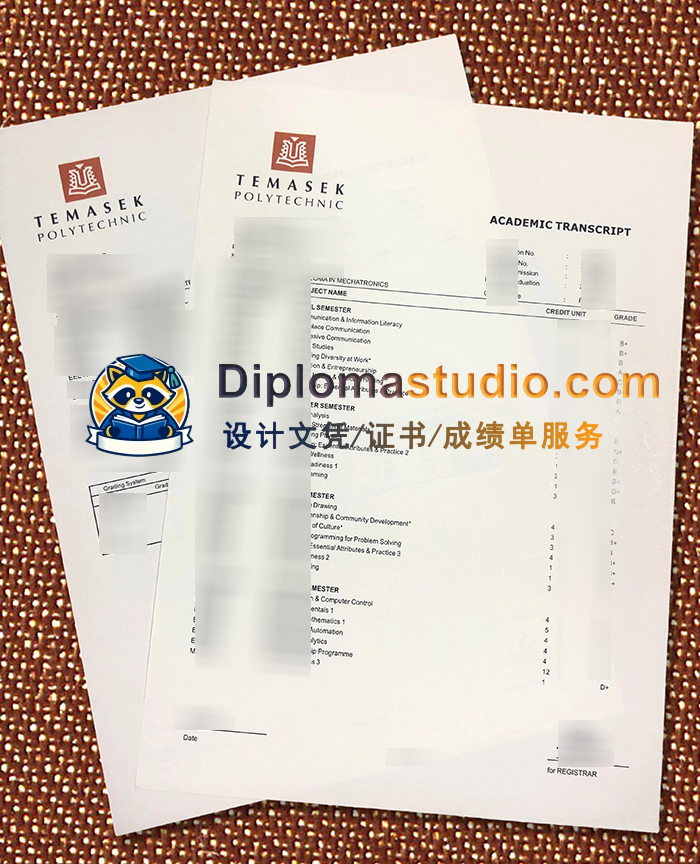 淡马锡理工学院成绩单, Temasek Polytechnic Transcript
