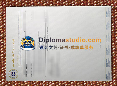 Selling Australian university degrees