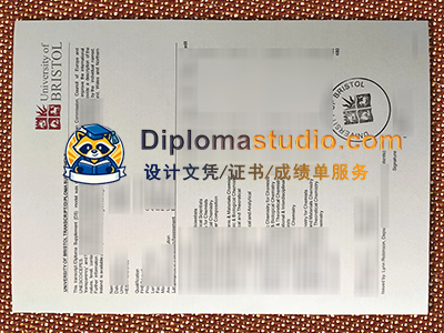 University of Bristol Transcript