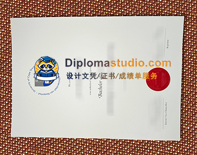 University of Cape Town Diploma