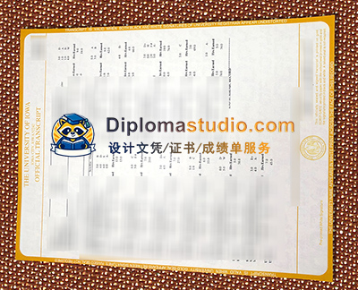 University of Iowa transcript