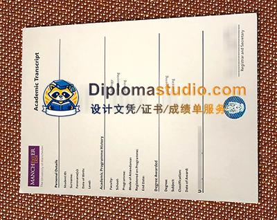 University of Manchester Transcript