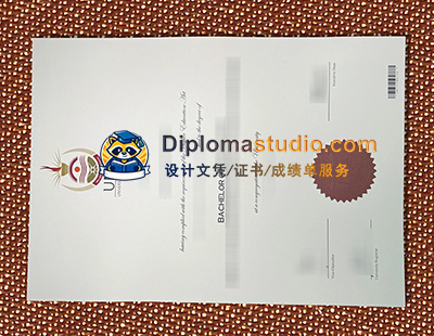 University of South Africa Degree