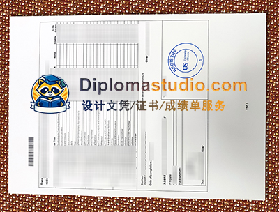 University of Sussex Transcript