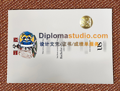 University of Sussex Degree Certificate