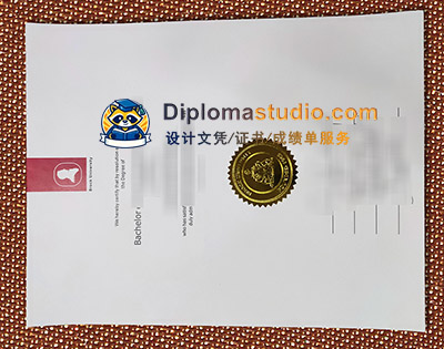 Brock University Diploma