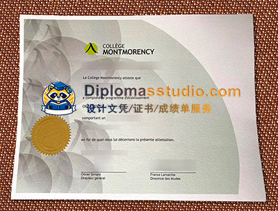 Collège Montmorency Diploma