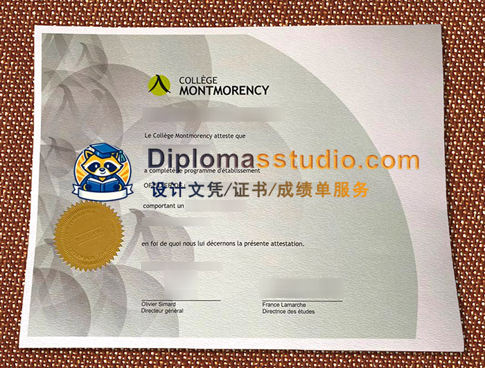 蒙莫朗西学院文凭, Collège Montmorency Diploma