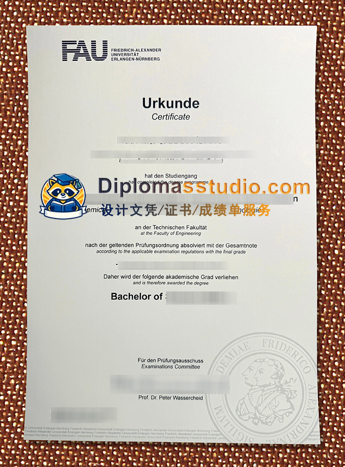 FAU埃尔兰根-纽伦堡大学文凭, Friedrich-Alexander-Universität Erlangen-Nürnberg Urkunde