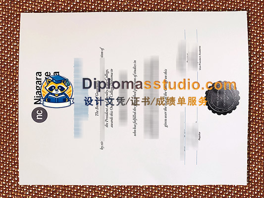 Niagara College Diploma