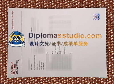 Sheffield Hallam University Transcript
