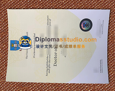 University of Sheffield Degree Certificate