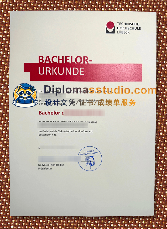 吕贝克应用科学大学文凭, Technische Hochschule Lübeck Urkunde