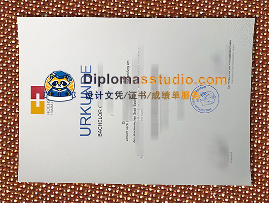 Hamm-Lippstadt University of Applied Sciences Urkunde