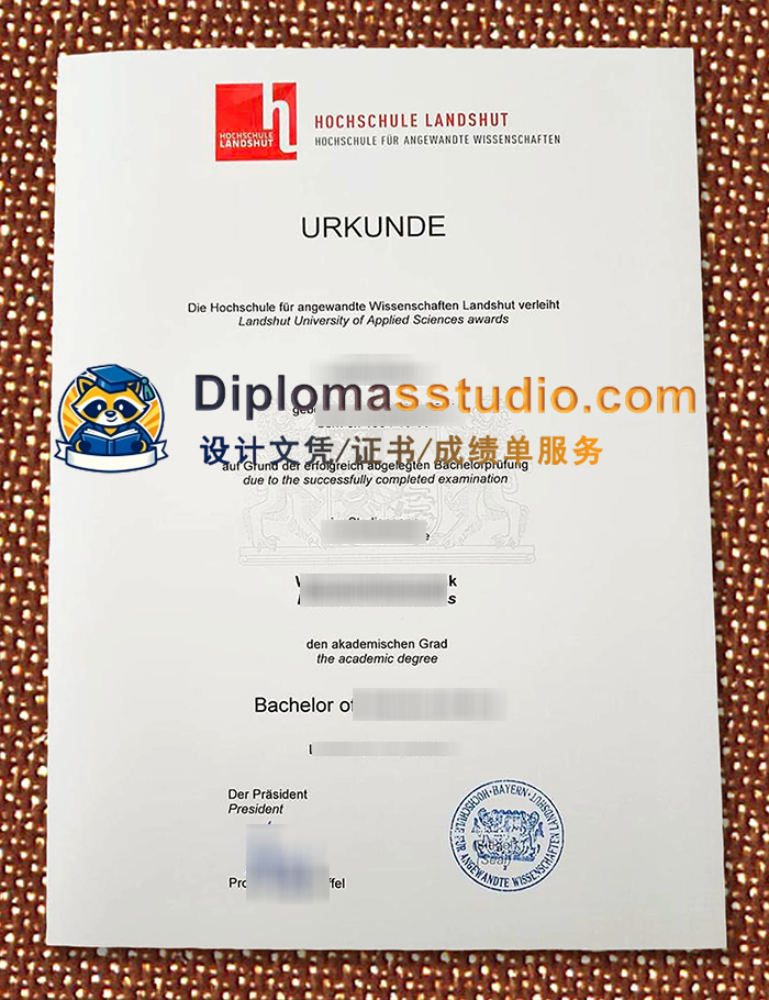兰茨胡特应用科学大学文凭, Hochschule Landshut Urkunde
