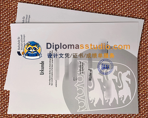 尼尔廷根-盖斯林根应用科技大学文凭, Nürtingen-Geislingen University Urkunde