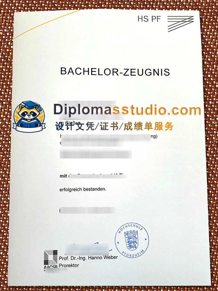 普福尔茨海姆大学文凭, Hochschule Pforzheim Urkunde