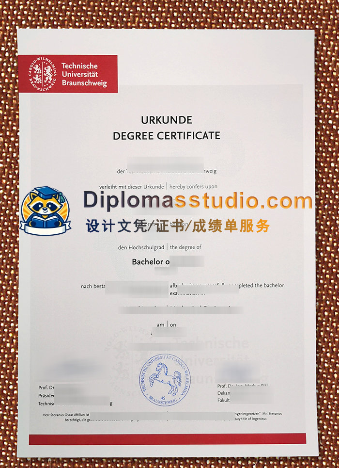布伦瑞克工业大学文凭, Technische Universität Braunschweig Urkunde