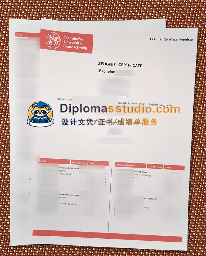 布伦瑞克工业大学成绩单, Technische Universität Braunschweig Zeugnis