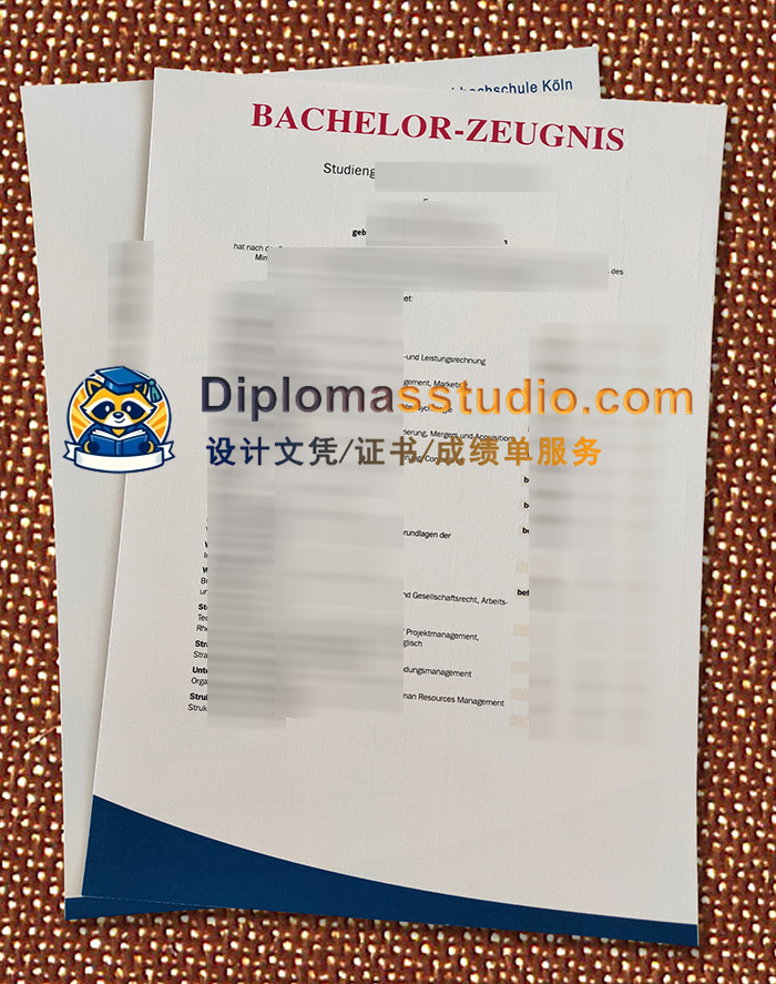 科隆莱茵应用技术大学成绩单, Rheinische Fachhochschule Köln Zeugnis