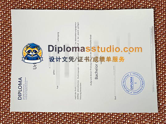 DIPLOMA Fachhochschule Nordhessen Urkunde